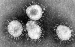 Coronavirus - fermeture gymnase