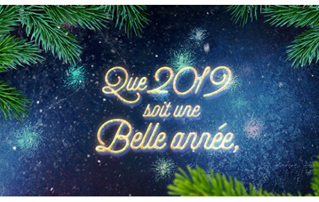 Bonne année 2019